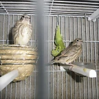 IMGP0070