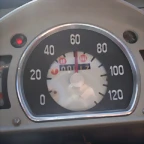 langosto58 003