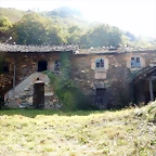 DSCN7001