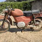 guzzi