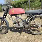 montesa