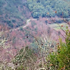 22-IMG_4520