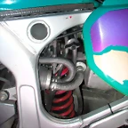 DSCN6446