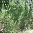 PICT0086