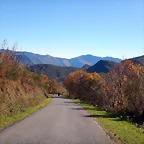 DSCN9136