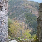 DSCN8188
