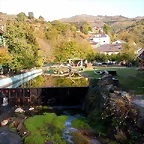 DSCN8171