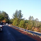 DSCN8090