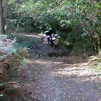 DSCN8095