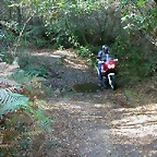 DSCN8096