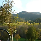 DSCN8152