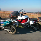 DSCN7554