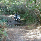 DSCN8097
