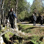 DSCN8074