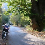 DSCN8173