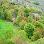 12-IMG_5913
