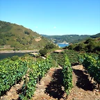 DSCN4152
