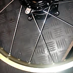 DSCN0347