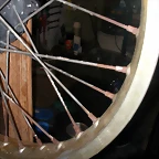 DSCN0319