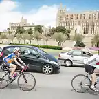 2014b mallorca312-nuria catedral