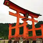 Miyajima881