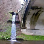 DSCN7175