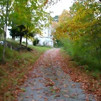 DSCN5810