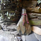 DSCN7886