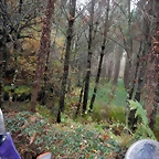 DSCN0729