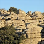 A101
