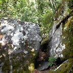 DSCN2768