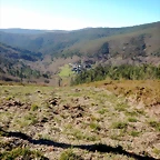 DSCN1411