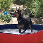 piscina1