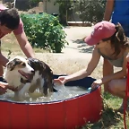 piscina5