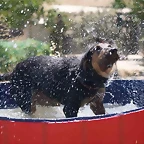 piscina2