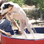 piscina6