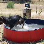 piscina3