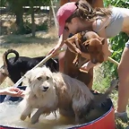 piscina4