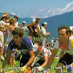 Perico-Tour1984-La Plagne-Hinault-Millar