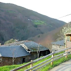 DSCN8558