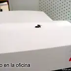 sexo en la oficina