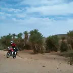 Atta