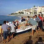 regata de la tortuga