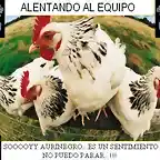 gallinero