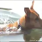puninadadora