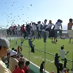jaja
