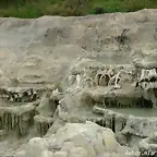 Dinosaurio fosilizado
