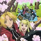 Full Metal Alchemist.