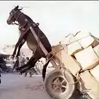 haciendo un caballito