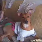 punidisfrazada